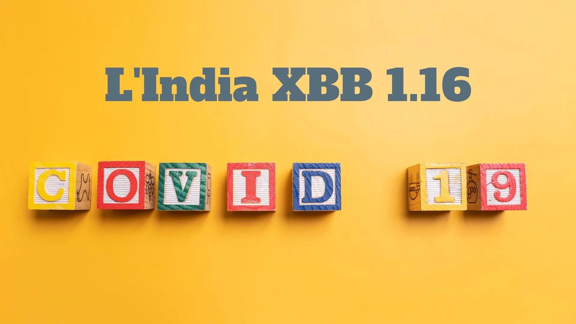 xbb 1.16